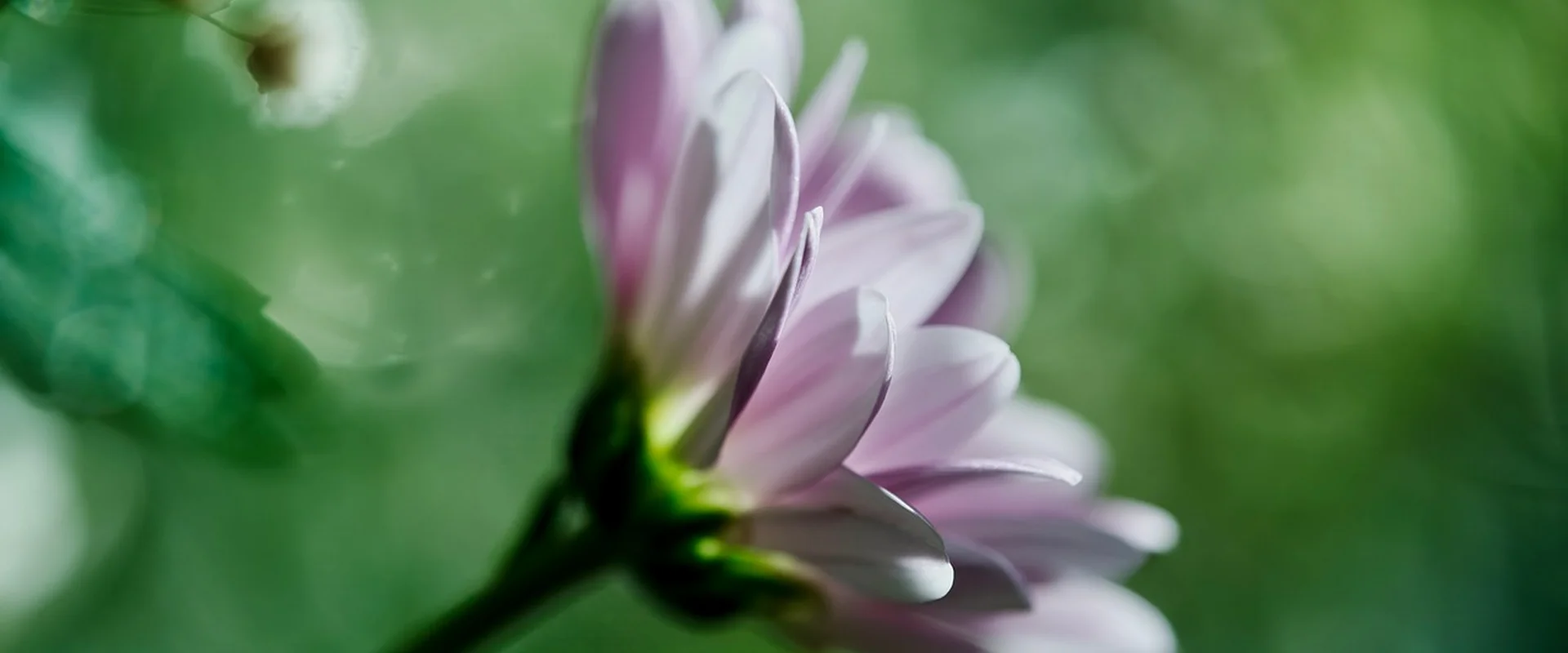 棋牌游戏PG电子