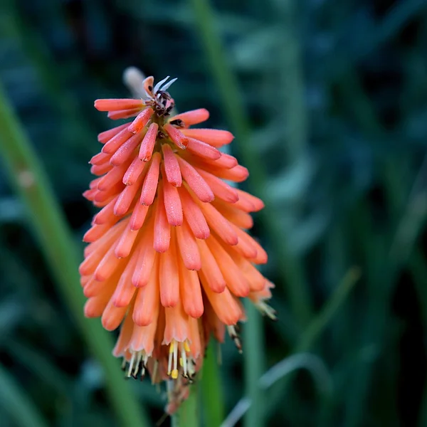 棋牌游戏棋牌游戏